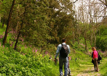 Tutti in marcia per il Monte Rufeno Marathon 2019. Ecco le modalità di iscrizione