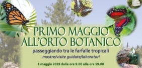 “Primo maggio all’Orto Botanico… passeggiando tra le farfalle tropicali”
