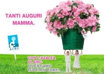 Il RotarAct Club di Orvieto in piazza con Airc