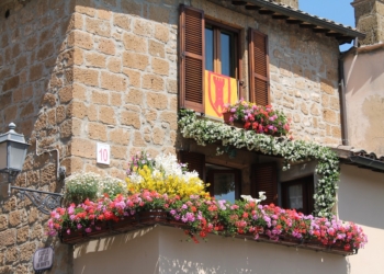 Orvieto in Fiore 2019 è pronto a sbocciare, insieme al Concorso “Finestre, Balconi e Vetrine in fiore”