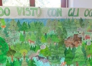 “Il mondo visto con gli occhi di un albero”, i bambini della IV C superano la selezione regionale