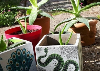 L’orto delle storie. E’ il progetto “Di Punto in Bianco”