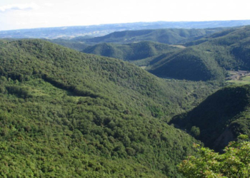 Monte Peglia Riserva Mondiale MAB Unesco: programmi di approfondimento e formazione in Europa e Italia dei prossimi mesi