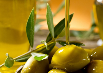 Si presenta la Guida agli Extravergini, una giornata dedicata alle realtà che hanno saputo interpretare il territorio