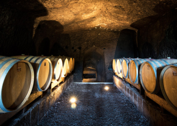 #SAPERIESAPORI. Cantine Neri, una storia orvietana di passione e cultura del territorio