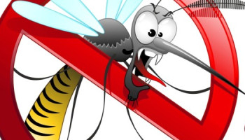 Castel Viscardo, al via disinfestazione dalle zanzare con metodo alternativo