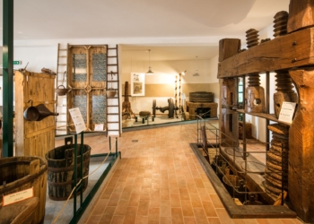 Il Gambero Rosso rende omaggio al Museo dell’Olio di Montecchio