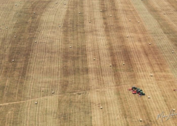 Anello della Piana di Castelluccio