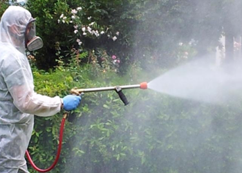 Avviso di disinfestazione con adulticida su tutto il territorio comunale