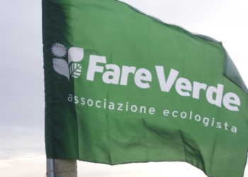 Fare Verde contro impianto geotermico di Castel Giorgio: “Il Governo dica no”