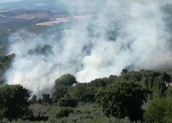 Incendi boschivi, Lattanzi: “Assicurare alla giustizia i responsabili”