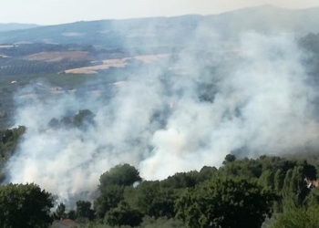 Dopo Guardea fiamme anche nel Comune di Montecchio, il sindaco Federico Gori: “C’è una mano criminale”