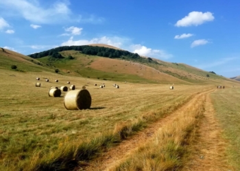 Un racconto d’estate con Amerini Trekking: da Castelluccio di Norcia a Shangri. Là, tra Hilton, Leopardi e Ivano Fossati