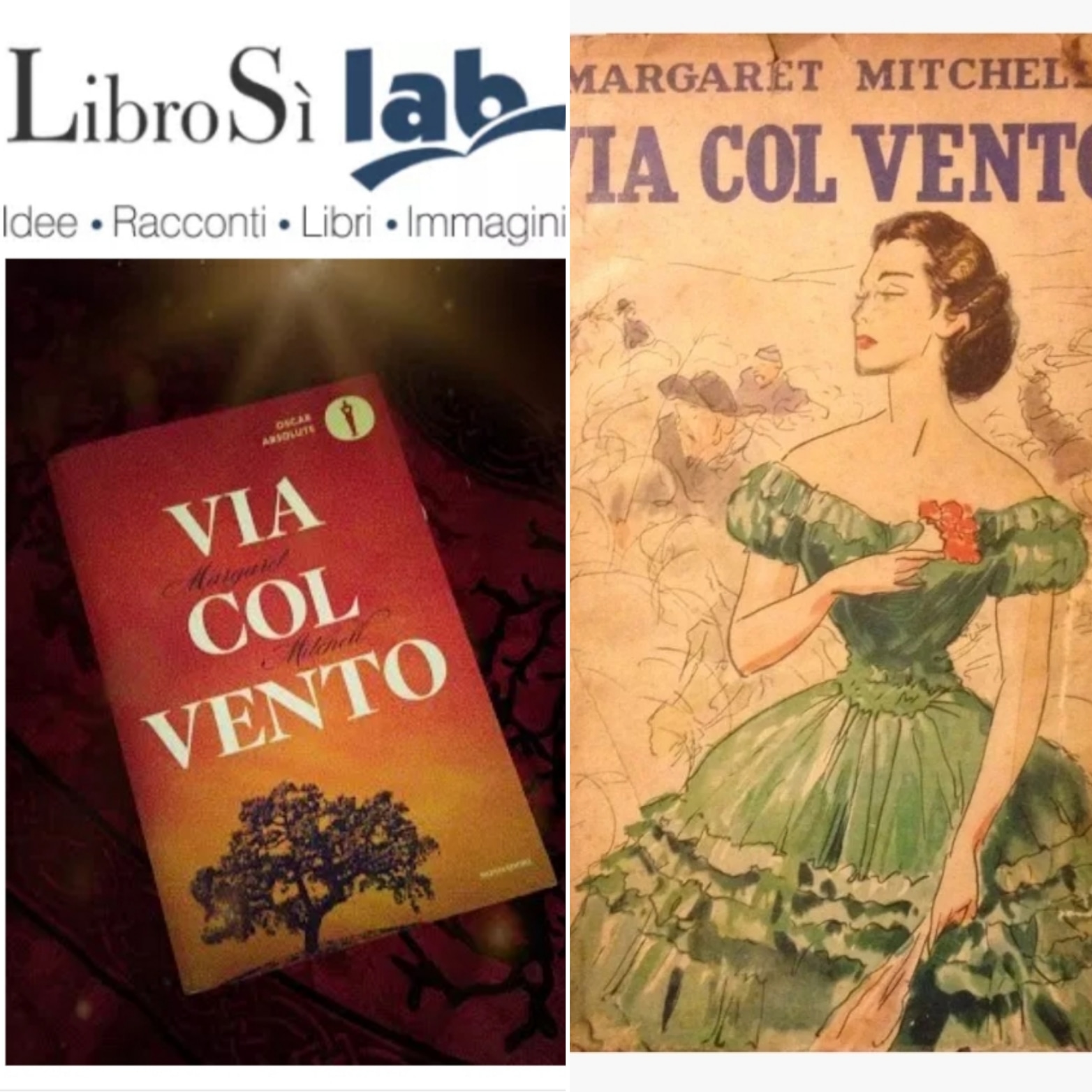 Chi Vi Ha Il Vento Fila