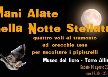 Al Museo del Fiore “Mani Alate nella Notte Stellata”