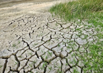 Accordo di partenariato fra Comuni per azioni congiunte di mitigazione del cambiamento climatico