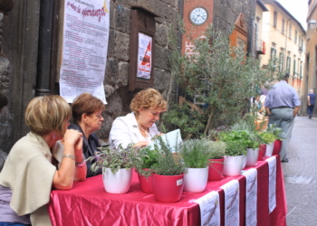“Fai volare la speranza”, volontari dell’Occ a disposizione negli info point