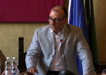 Interrogazione del consigliere Giovannini sul taglio di un albero secco in Piazza della Pace