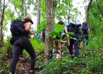 Trekking e camminate nel “Triangolo benedetto d’Italia”