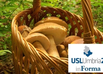 Stagione Micologica 2019, la Usl Umbria2 esegue il controllo gratuito dei funghi