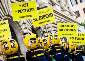 “Api, Salute, Pesticidi”, un convegno per capire cosa fare