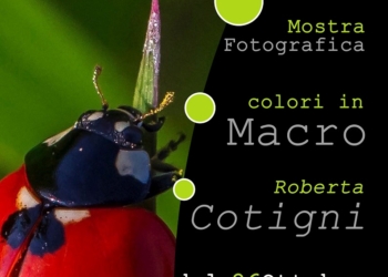 Colori in macro, mostra a Palazzo dei Sette