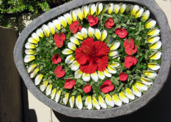 E se considerassimo lo STRESS come compagno di viaggio?