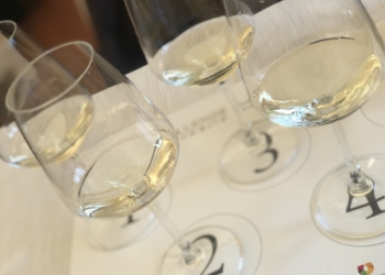 Il vino di Orvieto stupisce i giurati alla 12A edizione del Chellange Internazionale Eupoisa