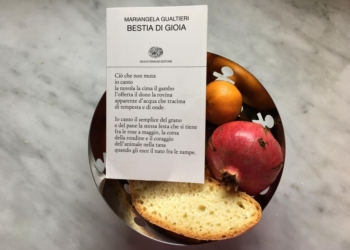 Bestia di gioia e torna #librinellorto