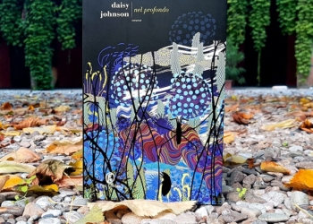 Un romanzo incantevole e perturbante. Nel Profondo