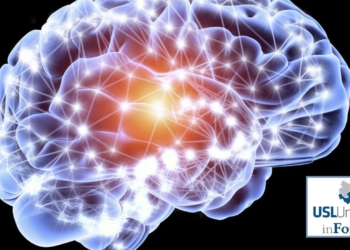 Paralisi cerebrali infantili, giornata di studio con esperti a confronto