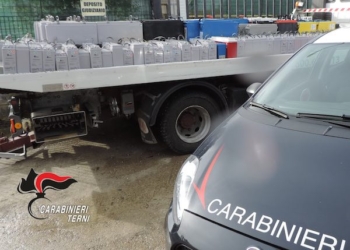 Scoperto e recuperato dall’Arma un carico di batterie rubate
