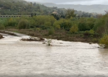 Maltempo, scende il livello del Paglia. Punte più alte Allerona e Proceno. Al ponte dello Scalo raggiunta quota 5,24 metri
