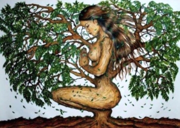 Giornata Internazionale contro la Violenza sulle Donne, a Parrano “Le Radici di Dafne”