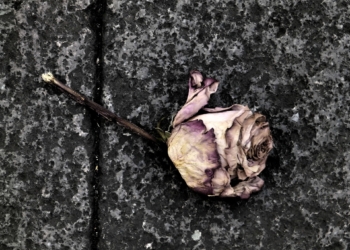 Giovane donna muore per ustioni sul corpo, Marinelli: “Non meritava una fine così, chiediamo verità sull’accaduto”