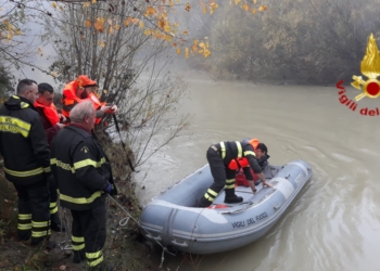 Intrappolati sul fiume Chiani, recuperati dai Vvff due cani da caccia