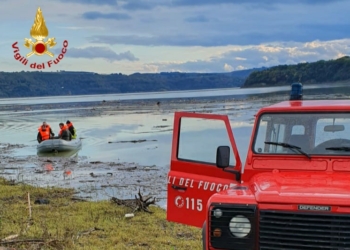 Bloccato sulle sponde del Lago di Corbara, Lion salvato dai Vvff