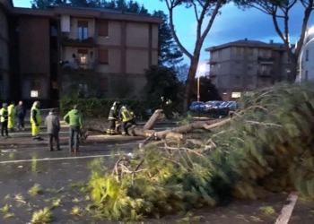 Maltempo sull’Orvietano, alberi abbatuti e strade allagate