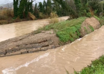 Maltempo sull’Orvietano, il Paglia sorvegliato speciale. Decine gli interventi dei Vvff per alberi caduti e strade allagate