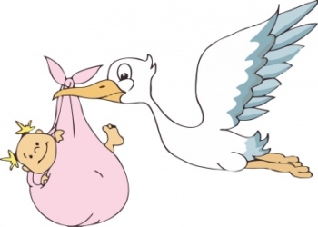 Benvenuta Livia, è una bimba l’ultima nata del 2019 al Santa Maria della Stella di Orvieto