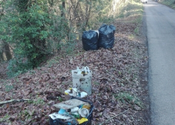 Cittadinanza attiva per un territorio libero dai rifiuti: nasce il Comitato “Peglia Pulito”