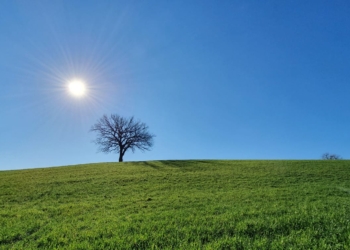 Cammino dei Borghi Silenti, quarto giorno: le colline del sole o della Natura che si compiace di se stessa
