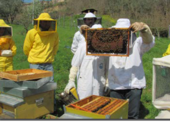 Riprendono le attività della Scuola di Apicoltura dell’Etruria