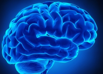 All’UniTus sintetizzata una moleca che “ringiovanisce” il cervello degli anziani