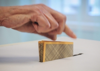 Elezioni 8 marzo, informazioni di voto