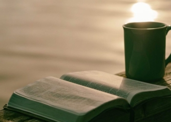 “Rimbalzare, tornare sui propri passi, e riprendersi. Respirare e lottare, lottare e respirare. Brescia sa che non è forte, è Leonessa”