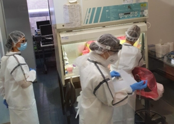 Coronavirus: “Potenziata rete regionale per analisi dei tamponi, aumentata la capacità diagnostica dell’ospedale di Terni”