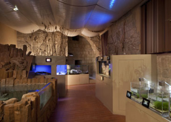 L’Acquario nel Castello vuole riaprire, a maggio il centro didattico di Bolsena compie 9 anni