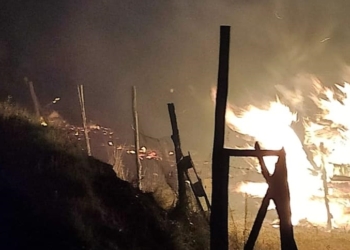 Scoppia bombola di gas, incendio all’interno di un allevamento privato di lepri