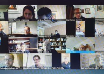 Tavolo verde, pacchetto interventi per rafforzare agricoltura: ecco i quattro assi strategici